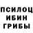 Псилоцибиновые грибы прущие грибы Mary Kor