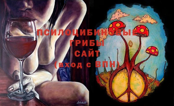 шишки Алзамай