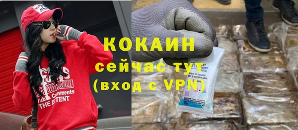 шишки Алзамай