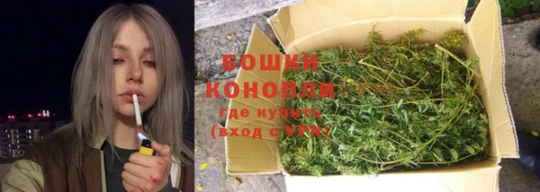 spice Арсеньев